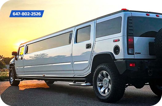 Belleville Party Bus