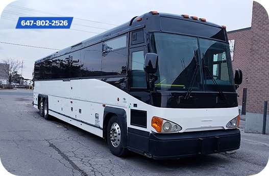 Niagara Falls Party Bus