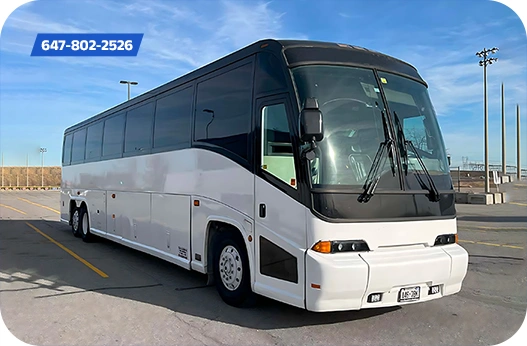 Wedding Party Bus Rentals Our Services